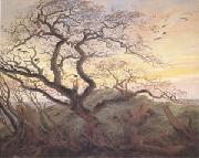 Caspar David Friedrich Tree with Crows Tumulus(or Huhnengrab) beside the Baltic Sea with Rugen Island in the Distance (mk05) Spain oil painting artist